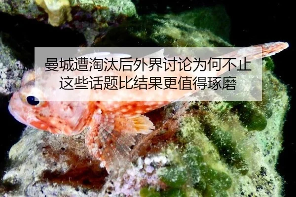 man-cheng-zao-tao-tai-hou-wai-jie-tao-lun-wei-he-bu-zhi-zhe-xie-hua-ti-bi-jie-guo-geng-zhi-de-zhuo-mo-2-903.jpg